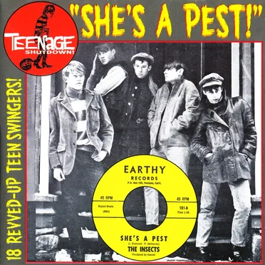 Teenage Shutdown! "She's a Pest"! by Various Artists - album cover