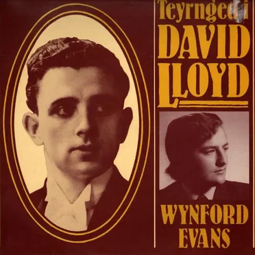 Teyrnged i David Lloyd