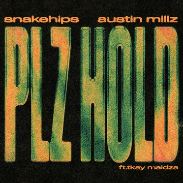 PLZ HOLD by Snakehips - album cover