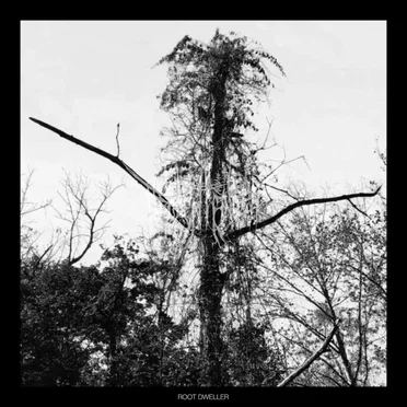 Root Dweller by Heksentanden - album cover