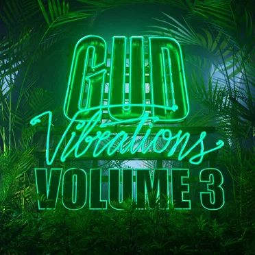 Gud Vibrations: Volume 3 by Various Artists - album cover