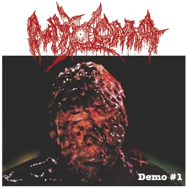 Demo #1