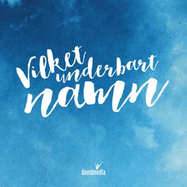 Du ger oss mod by Various Artists - album cover