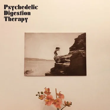 Psychedelic Digestion Therapy by Psychedelic Digestion Therapy - album cover