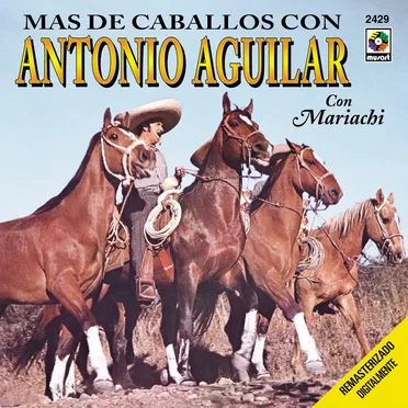 Más de caballos