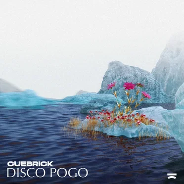 Disco Pogo