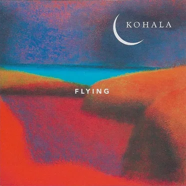 Flying