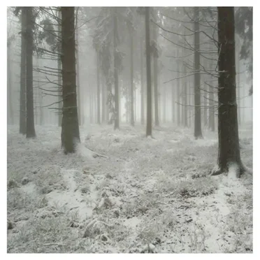 Arbres