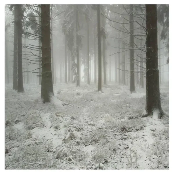 Arbres
