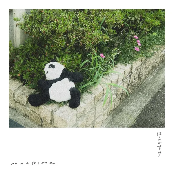 はるかすみ