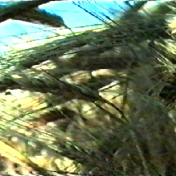 kdi dctb 084a