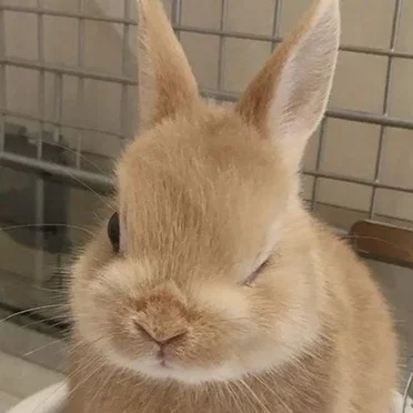 BB i Eat hUmans..