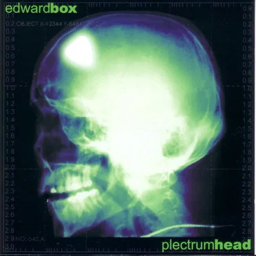 Plectrumhead