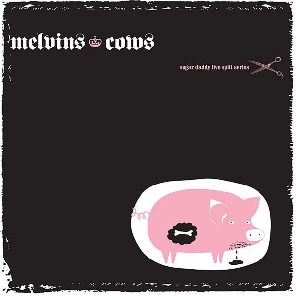 Sugar Daddy Live Split Series, 2