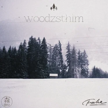 Yearwalk by WoodzSTHLM - album cover