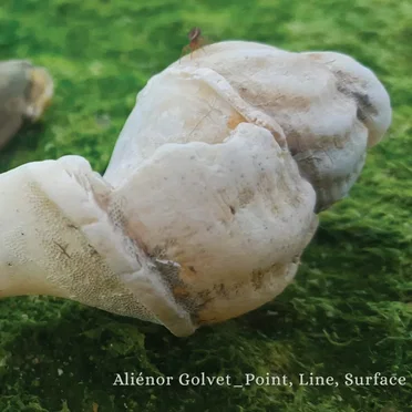 Point, Line, Surface