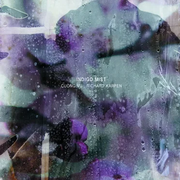 That the Days Go By and Never Come Again by Indigo Mist - album cover
