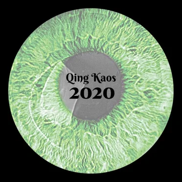 20/20 by Qing Kaos - album cover