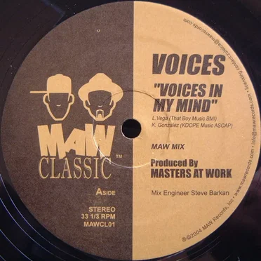 Voices in My Mind by Voices - album cover