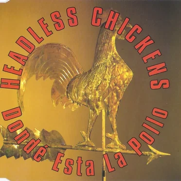 Donde Esta La Pollo