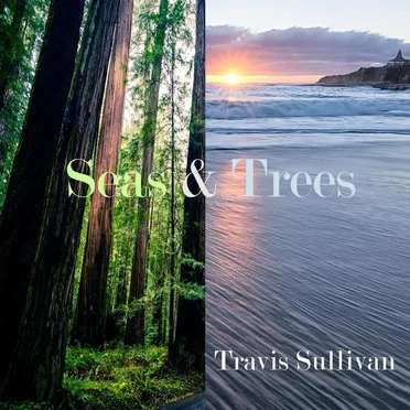 Seas & Trees by Travis Sullivan - album cover