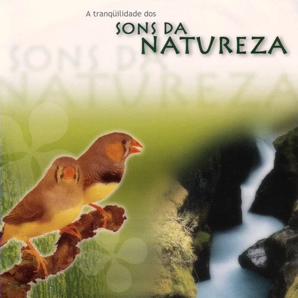 The Tranquility of the Sounds of Nature