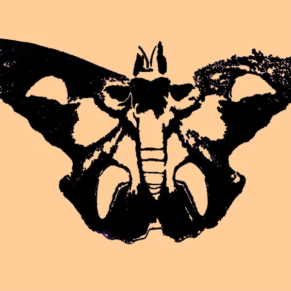 Moth Tapes