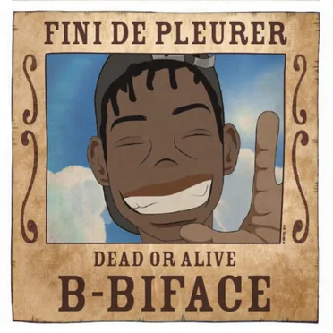 Fini de pleurer by B-Biface - album cover