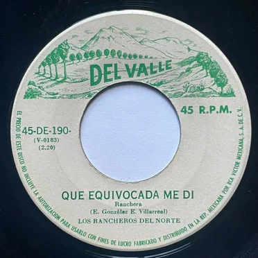 Que equivocada de mi / Tengo recuerdos de ti