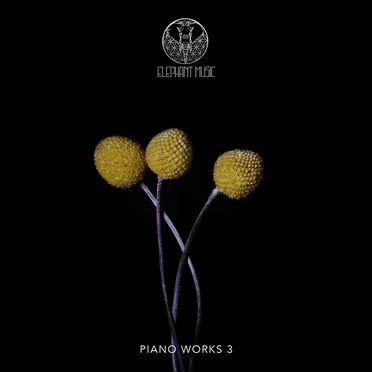 Piano Works 3