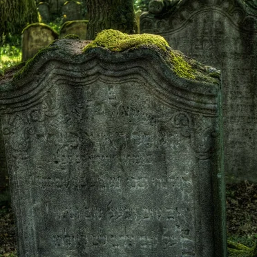 In This Hedonistic Society, Where Everything Precious and Shallow Alike Is Readily-Won-And-Readily-Lost, the Natural Habitat for Saints Is the Graveyard