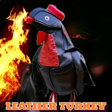 Leather Turkey by Dweezil Zappa - album cover