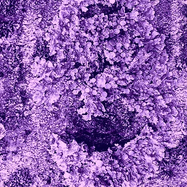 A Piece of Eternal Consciousness