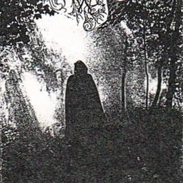 Tears of the Weeping Willow