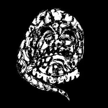 Demo by Rigorous Institution - album cover