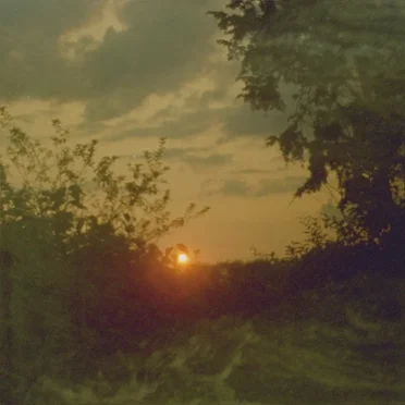 Olema by mammifères - album cover