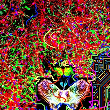 Chaos and Transformation