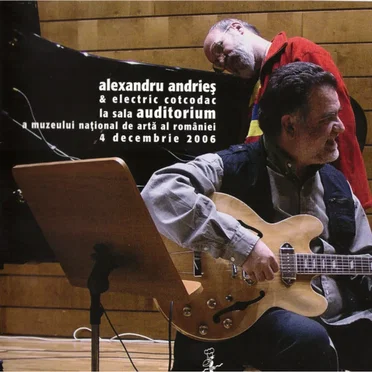 La Sala Auditorium A Muzeului Național De Artă Al României 06.12.06