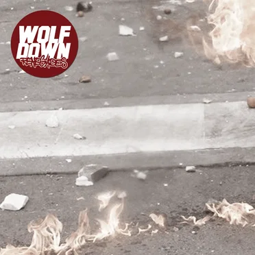 Renegades by Wolf Down - album cover