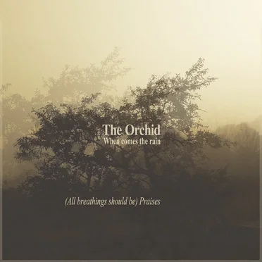 When comes the rain by The Orchid - album cover
