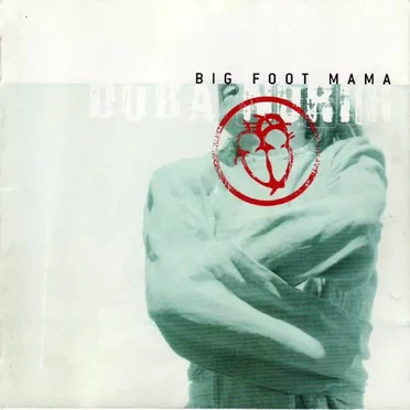 Doba norih by Big Foot Mama - album cover