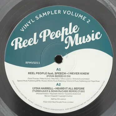 Reel People Music Vinyl Sampler Volume 2 by Various Artists - album cover