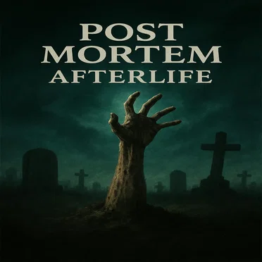 Post Mortem: Afterlife