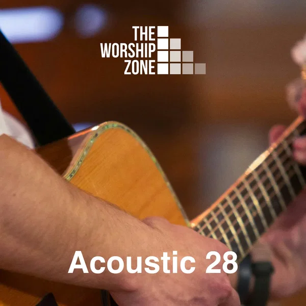Acoustic 28
