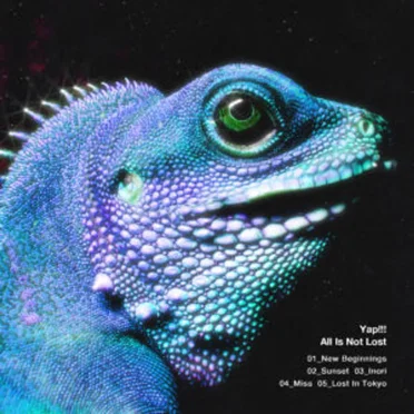 All Is Not Lost by Yap!!! - album cover