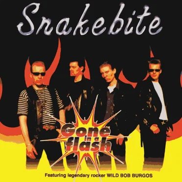 Gone in a Flash by Snakebite - album cover