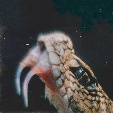 Serpentine