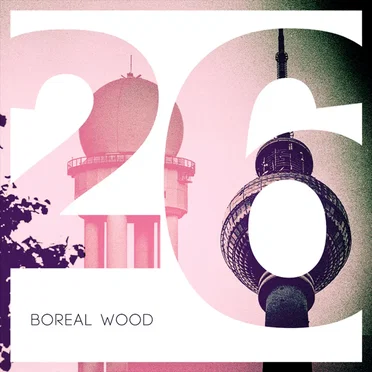 26
