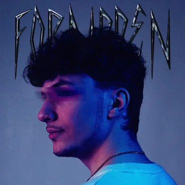 Forbidden (remixes)
