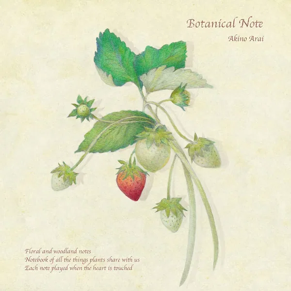 Botanical Note